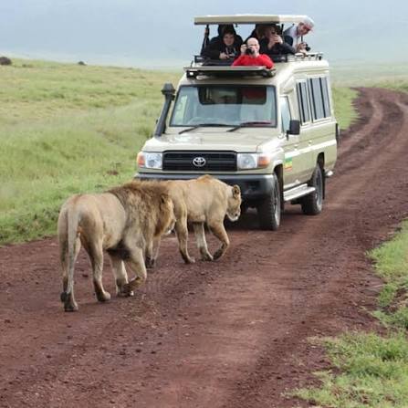 4-Day Great Wildebeest Migration safari package