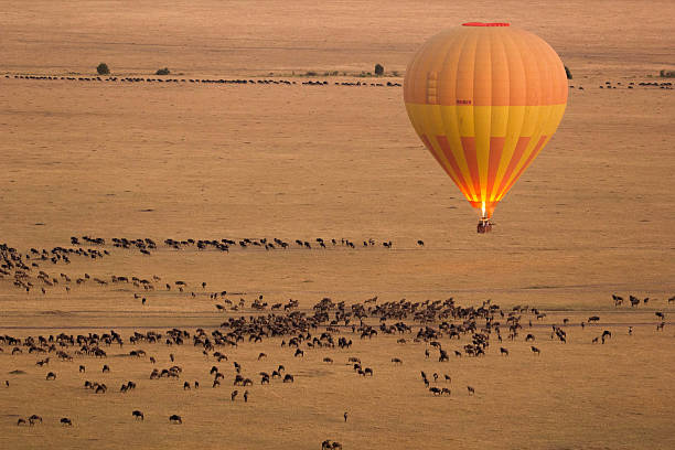 A colorful hot air balloon soaring over the Serengeti plains at sunrise, offering a bird's-eye view of the wildlife below