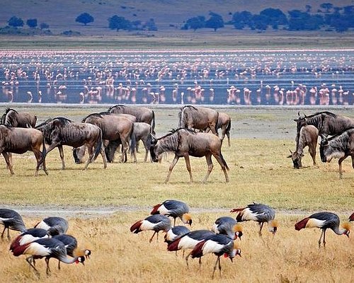 day trip from karatu to see natural wonders of the World