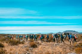 Climbers hiking up Mount Kilimanjaro via the scenic Umbwe Route