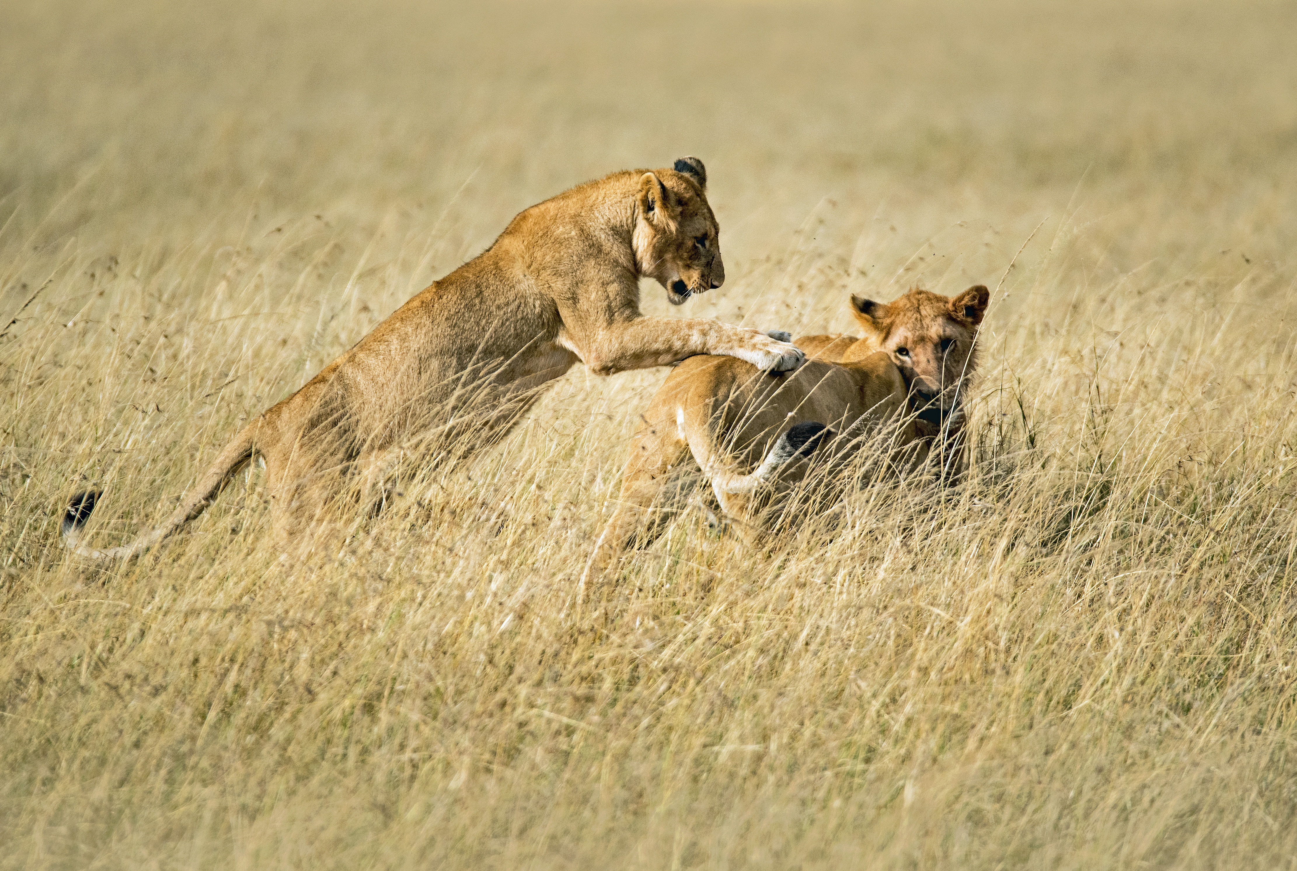 Serengeti National Park