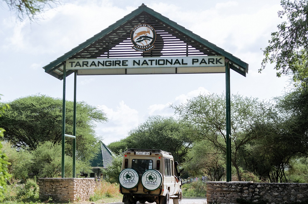 tarangire national park gate in
