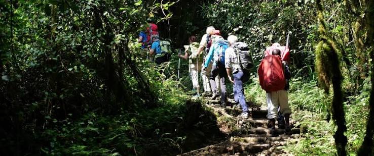 Trekkers navigating the steep terrain on the Umbwe Route, Mount Kilimanjaro's most challenging route