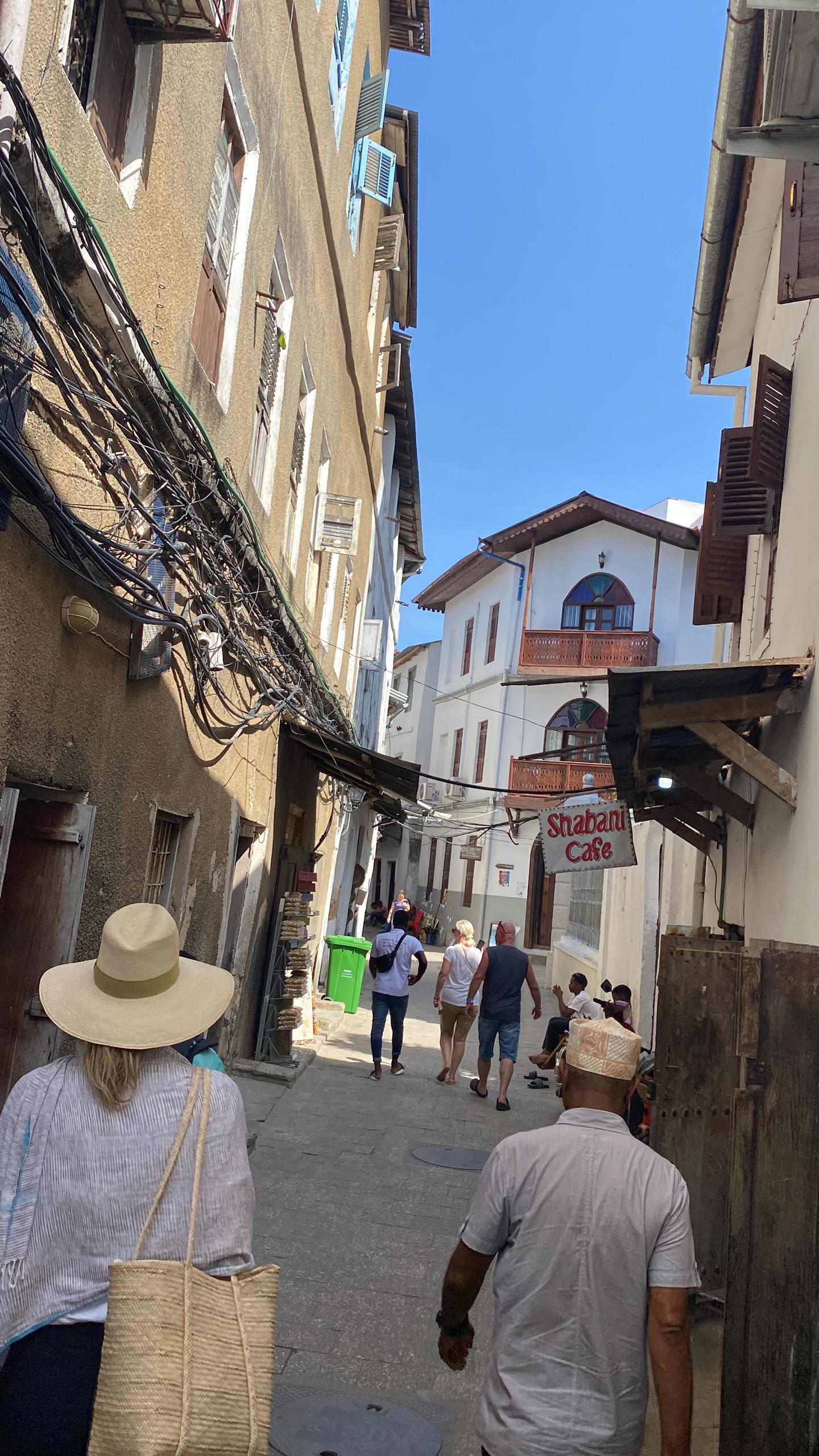 safari tour in Zanzibar