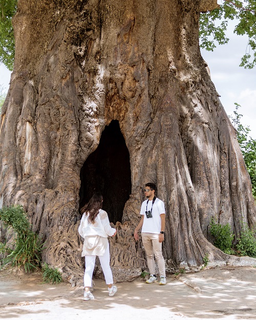 1 day leopard in the serengeti for 2026-2027