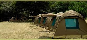 2 Days Tanzania group joining Safari Tour for 2026/2027