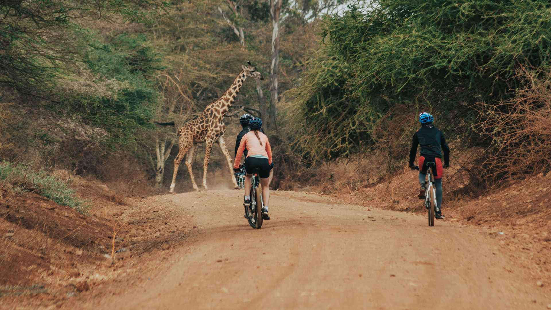 Kilimanjaro Bike Downhill Descent Marangu Gate