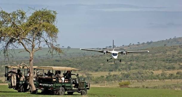 Fly-in Ndutu safari showing massive wildebeest herds during the Great Migration calving season