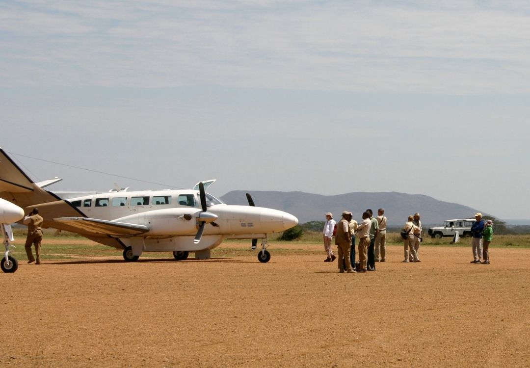 Fly-in bush flight to Serengeti airstrip and overland game drive return