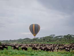 great wildebeest migration safari tour