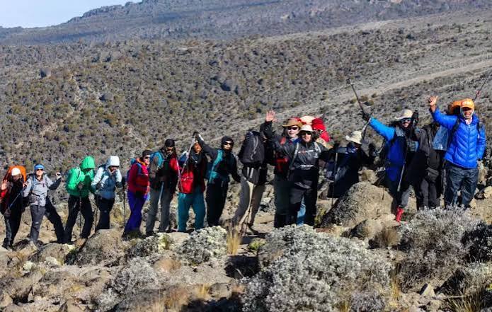 7-Day kilimanjaro Hiking Tour Via rongai Route For 2026-2027
