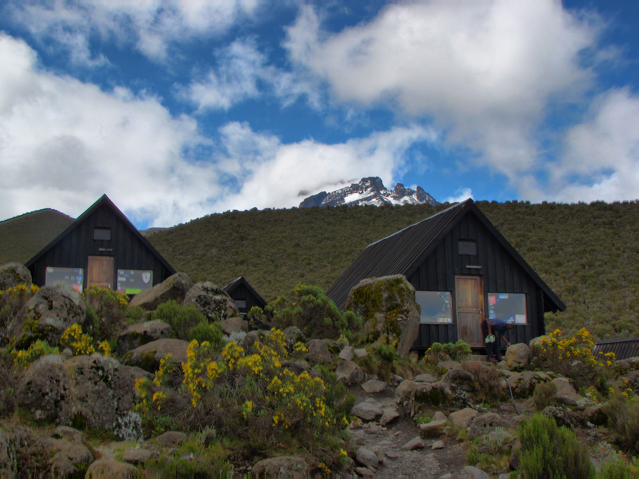 7-Day kilimanjaro Hiking Tour Via rongai Route For 2026-2027