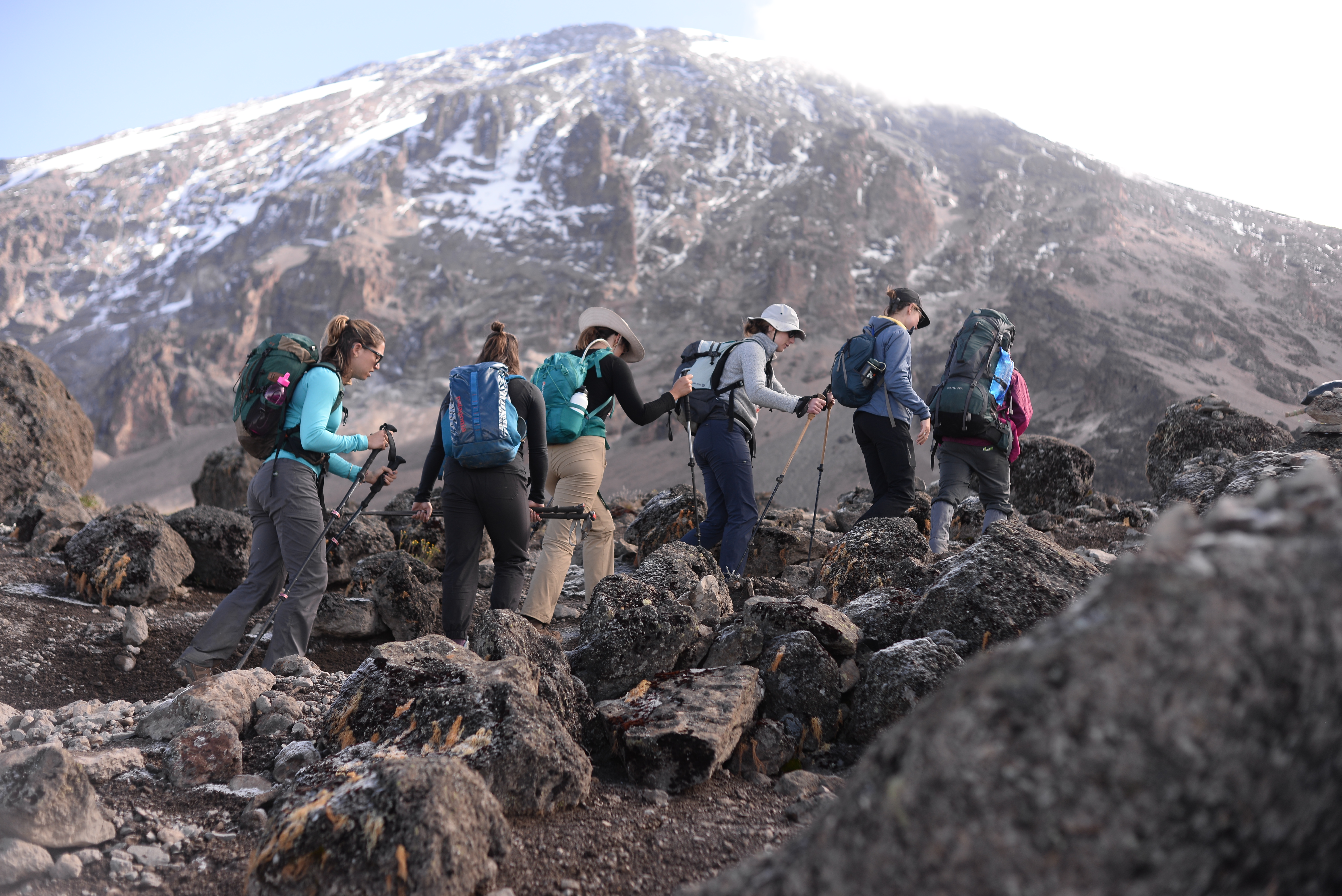 1-day Kilimanjaro Hiking Tour