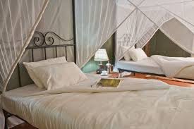 Luxury Safari 1