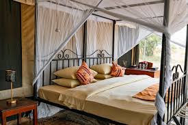 Luxury Safari 2