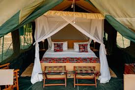 Luxury Safari 1