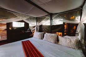 Luxury Safari 2