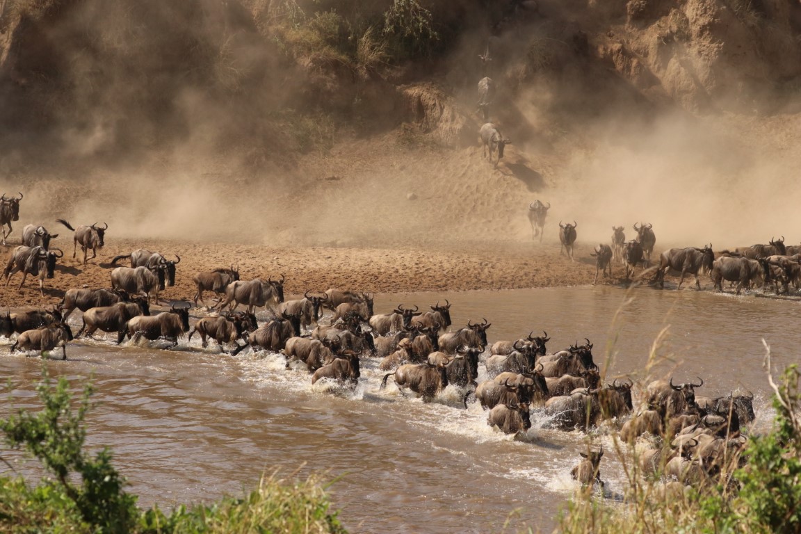 5 Days Drive-In Fly-Out Mara River Migration Safari