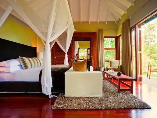Charming wilderness safari lodge surrounded by green nature and natural vegetation