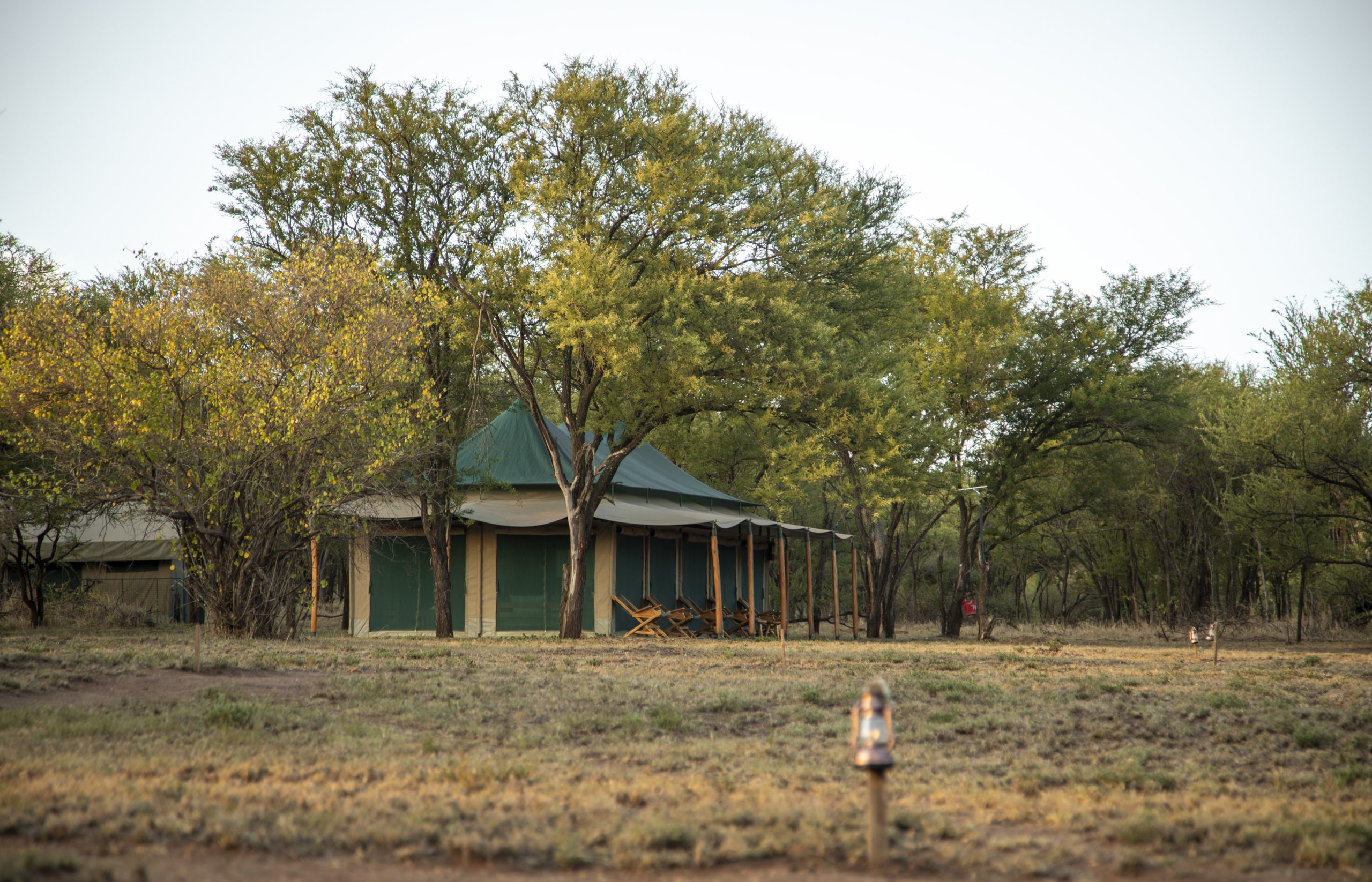 Maboresho Tented Camp in the Serengeti Great Migration path