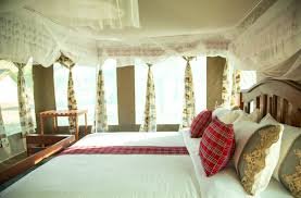Luxury Safari 1