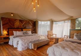 Luxury Safari 2