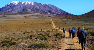 7-Day kilimanjaro Hiking Tour Via rongai Route For 2026-2027