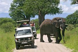 safari jeep during Manyara game Drive safari