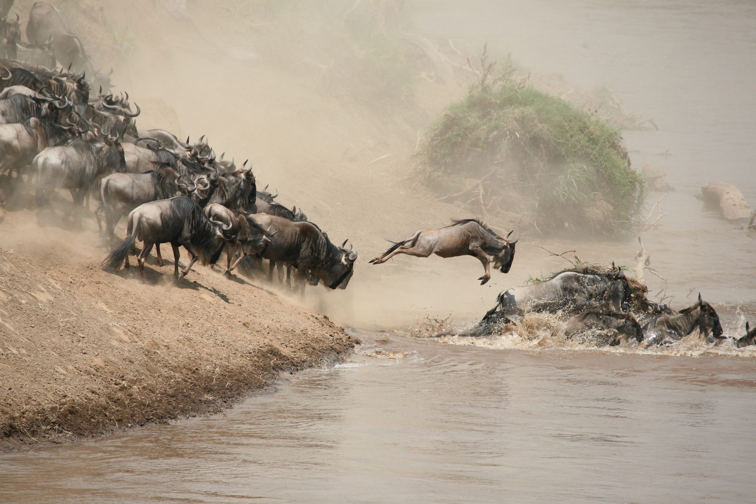 Dry Season River Crossing
