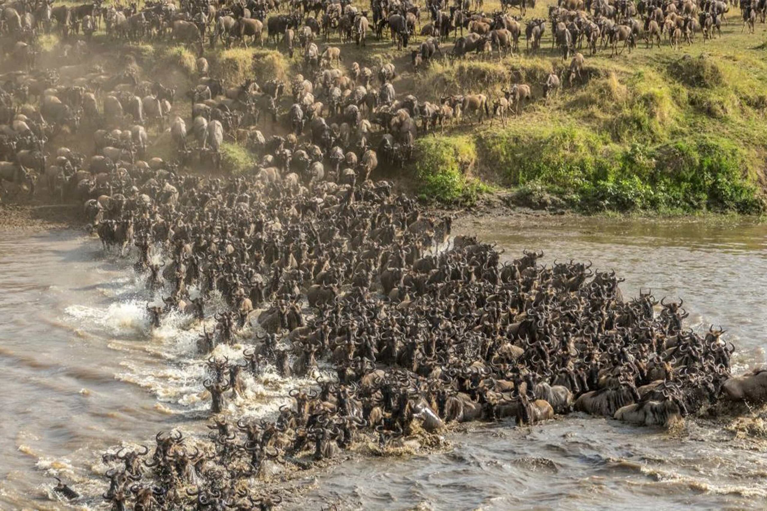 5 Days Mara River Great Migration Safari Tour