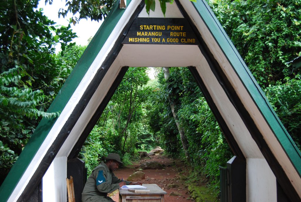 Marangu Route Rainforest Day 1