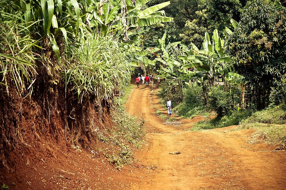 8-Day Materuni Foothills, Extended Migration and Ngorongoro Private Safari