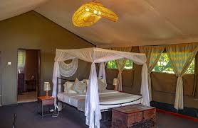 Serengeti Nyani budget campsite Group Join Safari 2026