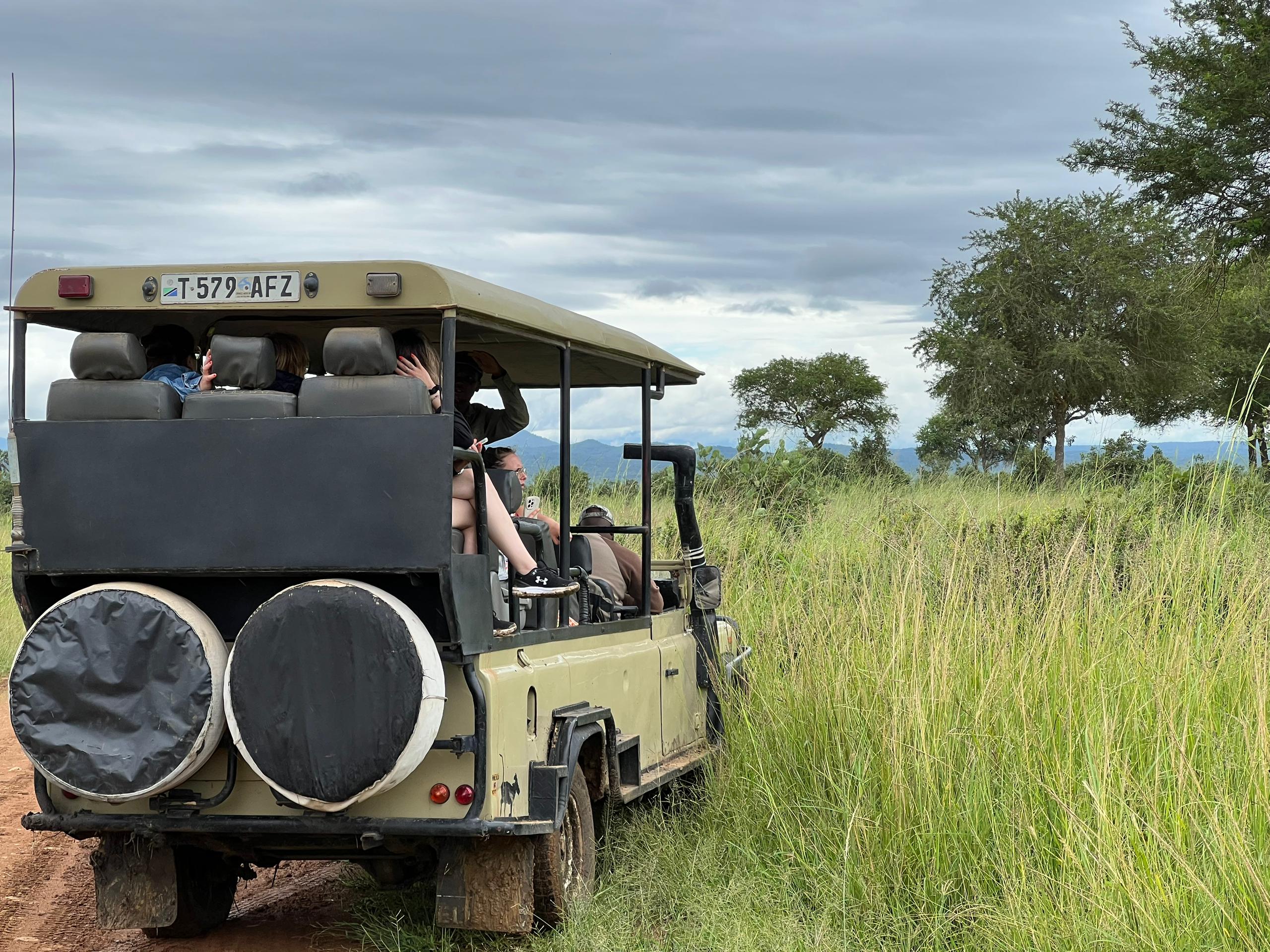 mikumi national park safari tour