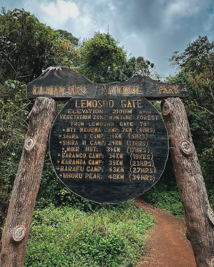 7 Day Lemosho Group Trekking Day 1