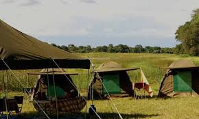 Luxury Safari 2