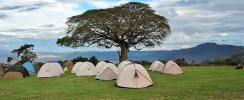 Luxury Safari 1