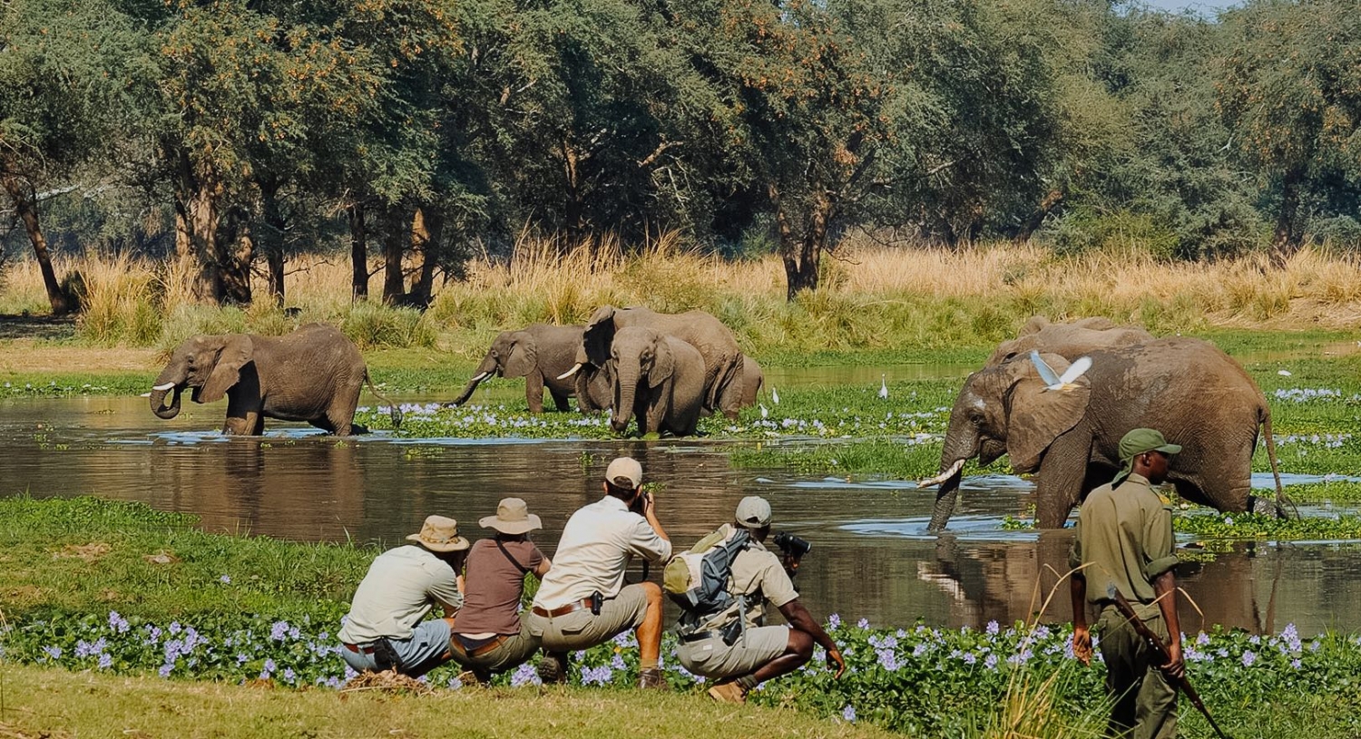 Nyerere National Park Selous luxury river boat safari