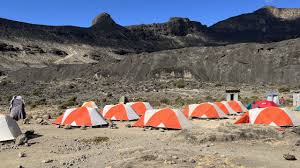 7-Day kilimanjaro Hiking Tour Via rongai Route For 2026-2027