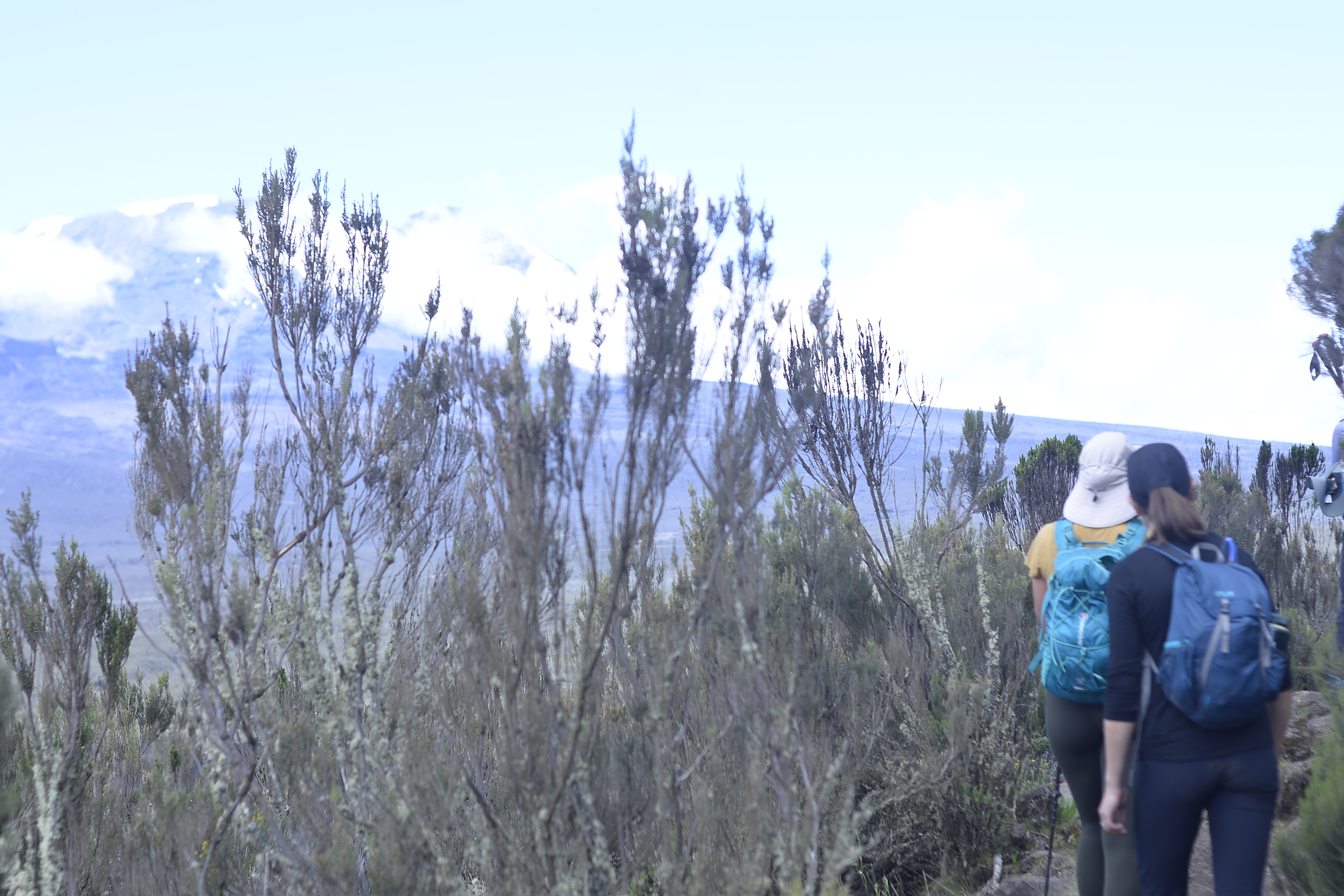 Rongai Route - climbing Kilimanjaro tour