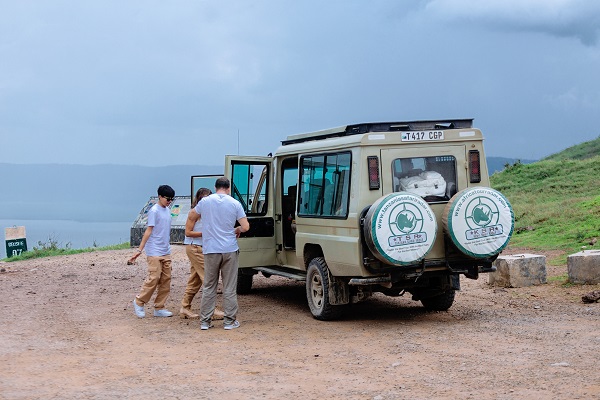 Overland driving into Serengeti and bush flight return