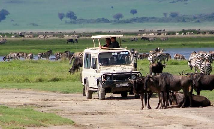 4x4 safari jeep during a Tanzania group joining safari in Serengeti National Park