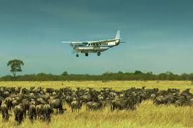 6 Days Fly-In Drive-Out Ndutu Great Migration Safari