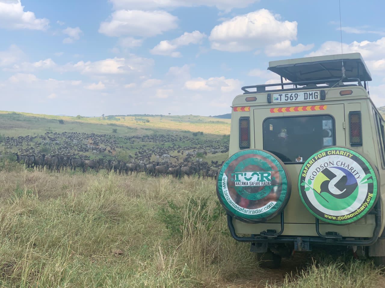 Serengeti Great Migration