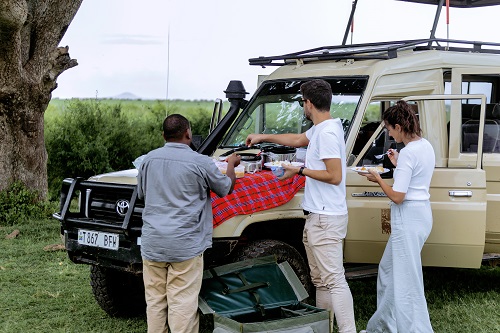Tailor-made luxury safari itinerary planning in Tanzania