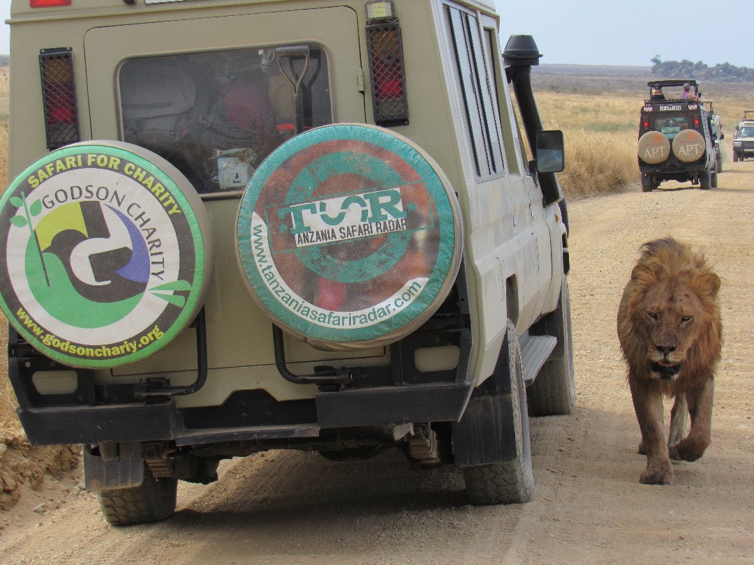 best tanzania private safari tours