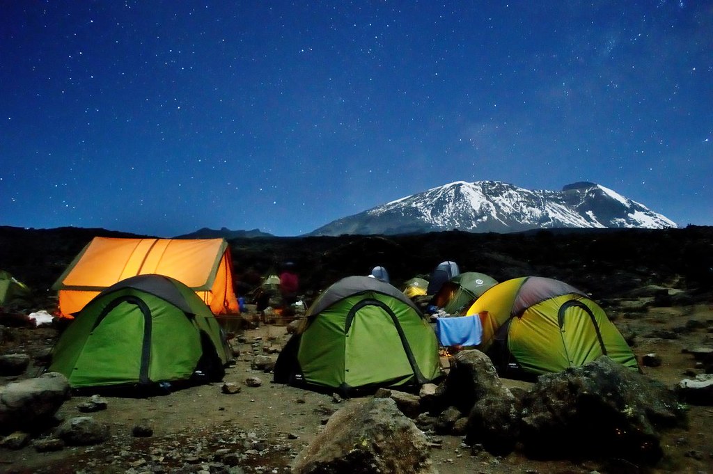 7 Day Lemosho Group Trekking Day 2