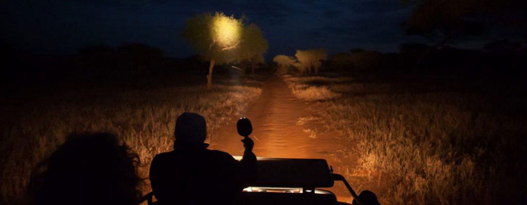 Night Game Drives and Star Gazing in Tanzania