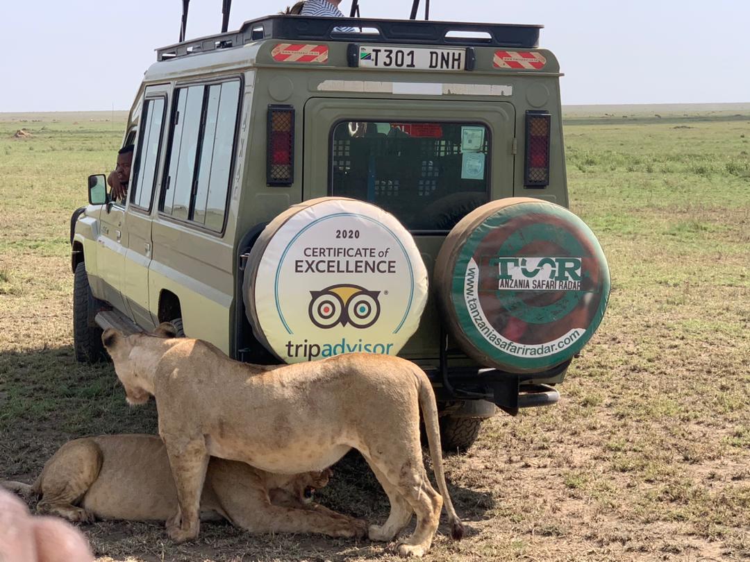 Best Tanzania Safari Operator in Arusha