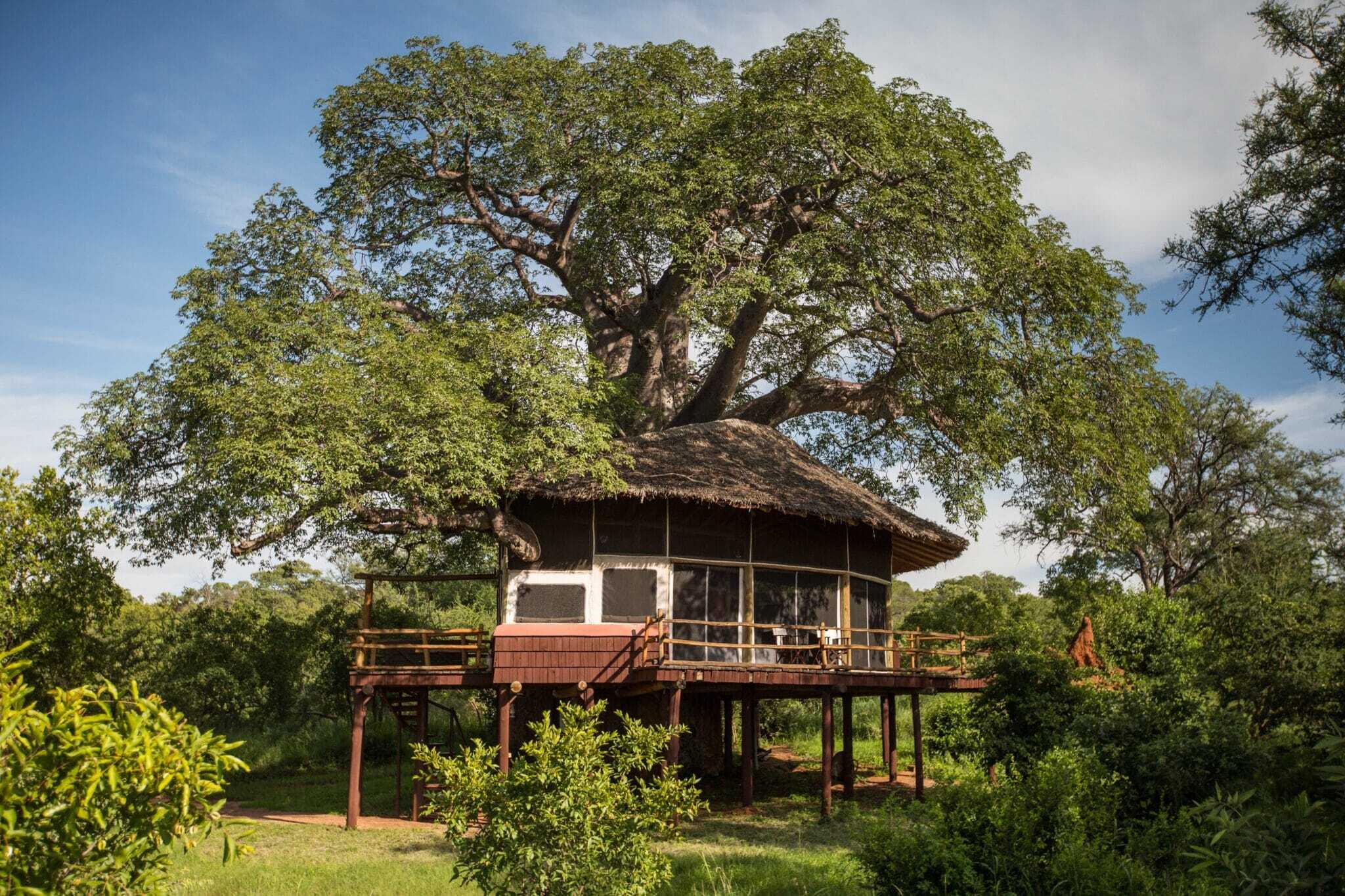 Luxury Accommodations in Tarangire National Park